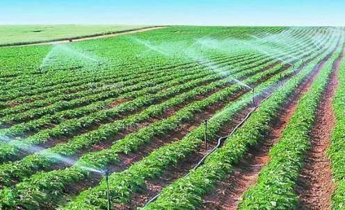 看臊逼农田高 效节水灌溉